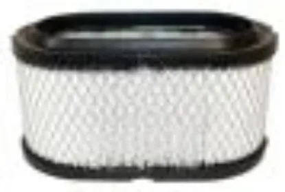 polaris  air filter
