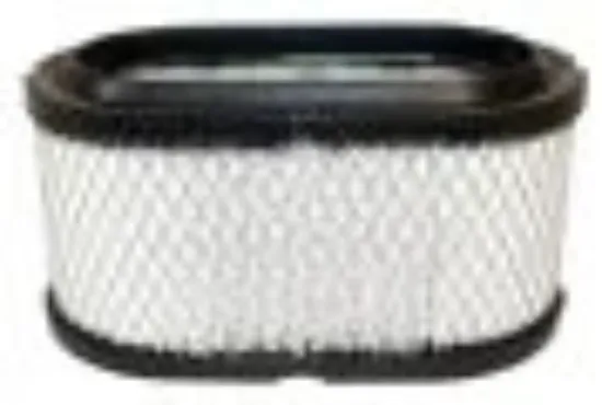 polaris  air filter